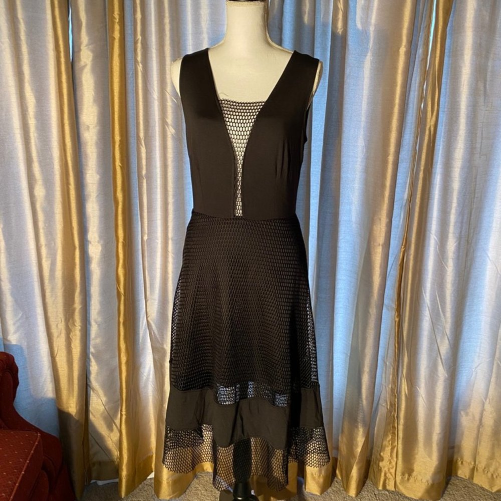 Little black net dress